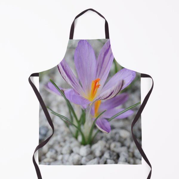 Item preview, Crocus corsicus  AGM	  Corsican crocus   designed and sold by Chris Burrows.
