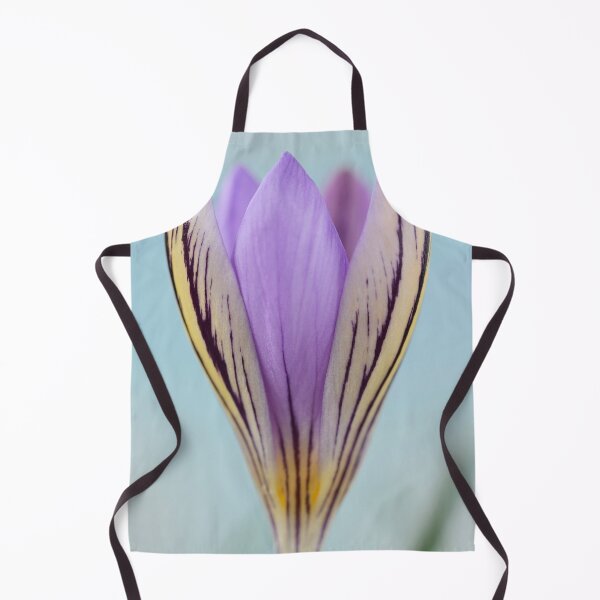 Item preview, Crocus corsicus  AGM	  Corsican crocus   designed and sold by Chris Burrows.