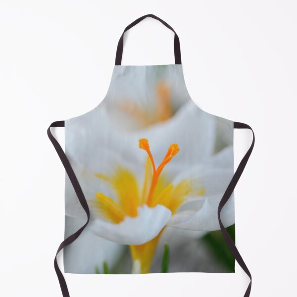 Item preview, Crocus sieberi 'Bowles's White' designed and sold by Chris Burrows.