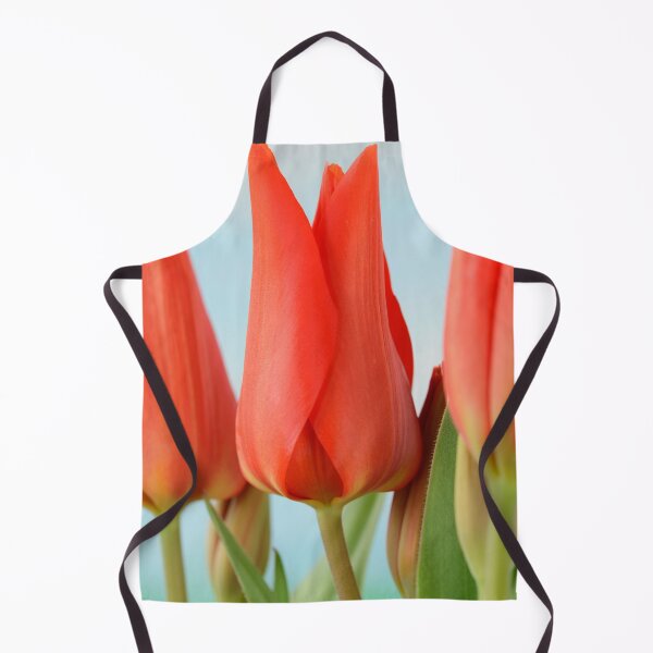 Artikelvorschau, Tulipa praestans Van Tubergens Variety & # 39; Verschiedene Tulpe entworfen und verkauft von Chris Burrows.