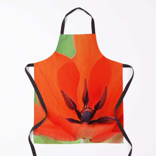 Artikelvorschau, Tulipa praestans Van Tubergens Variety & # 39; Verschiedene Tulpe entworfen und verkauft von Chris Burrows.
