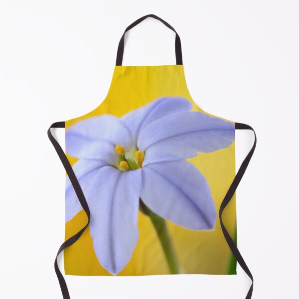 Item preview, Ipheion 'Rolf Fiedler' AGM Spring starflower designed and sold by Chris Burrows.
