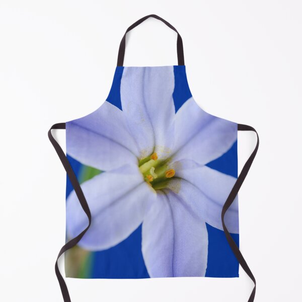 Item preview, Ipheion 'Rolf Fiedler' AGM Spring starflower designed and sold by Chris Burrows.