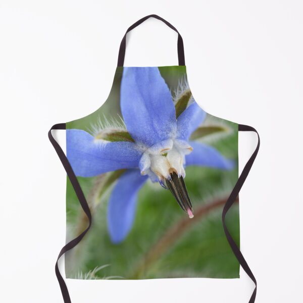 Item preview, Borago officinalis Borage designed and sold by Chris Burrows.