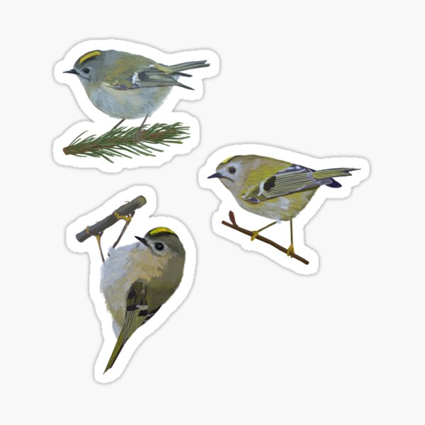 Item preview, Goldcrest designed and sold by Arts and Herbs.
