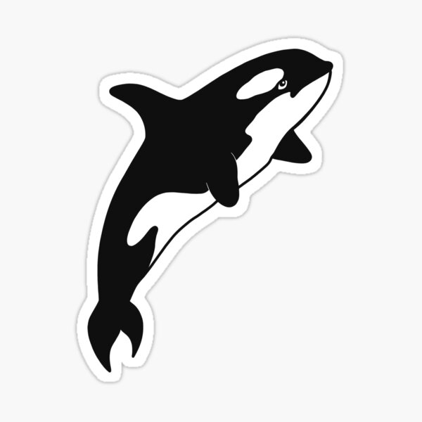Orca Sticker