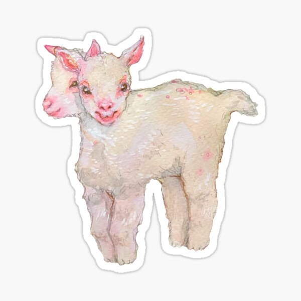 Two headed lamb Sticker