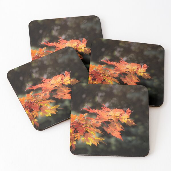 Item preview, Autumn Blaze Maple designed and sold by Kathy Weaver.
