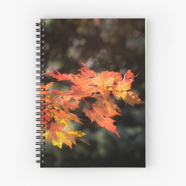 Item preview, Autumn Blaze Maple designed and sold by Kathy Weaver.