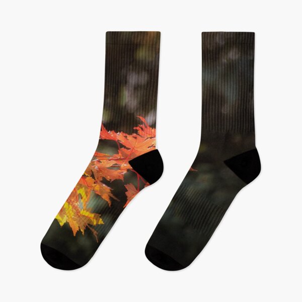 Item preview, Autumn Blaze Maple designed and sold by Kathy Weaver.