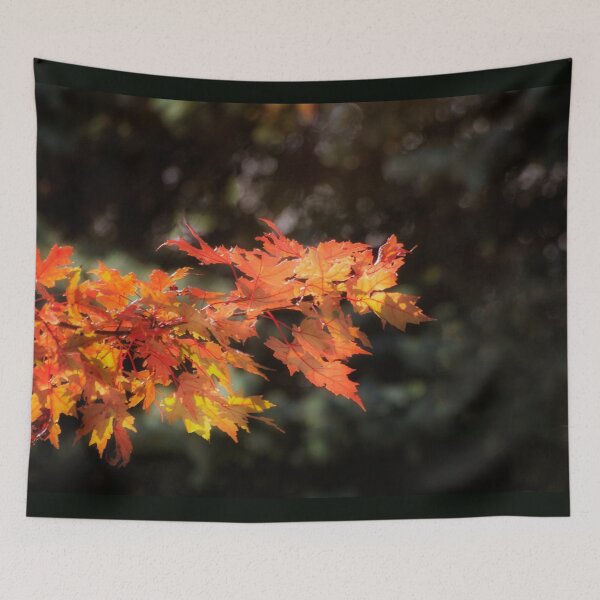 Item preview, Autumn Blaze Maple designed and sold by Kathy Weaver.