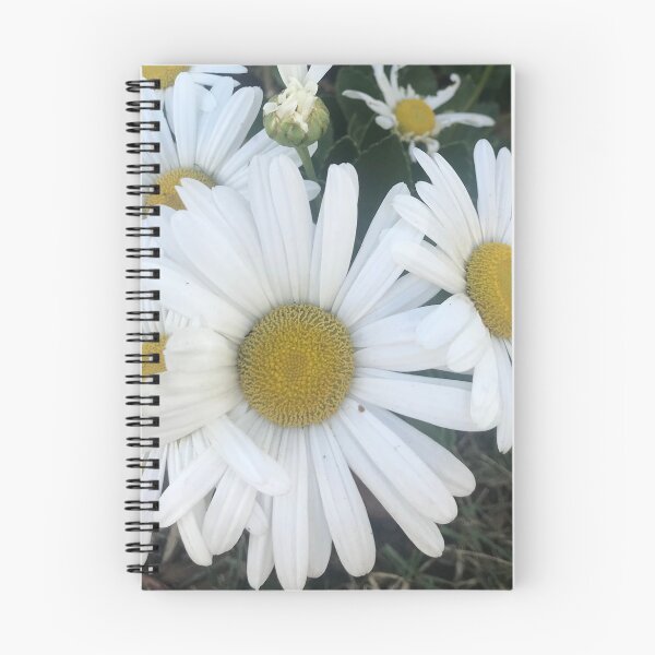Item preview, oxeye daisy flower  designed and sold by Naomiblaine.