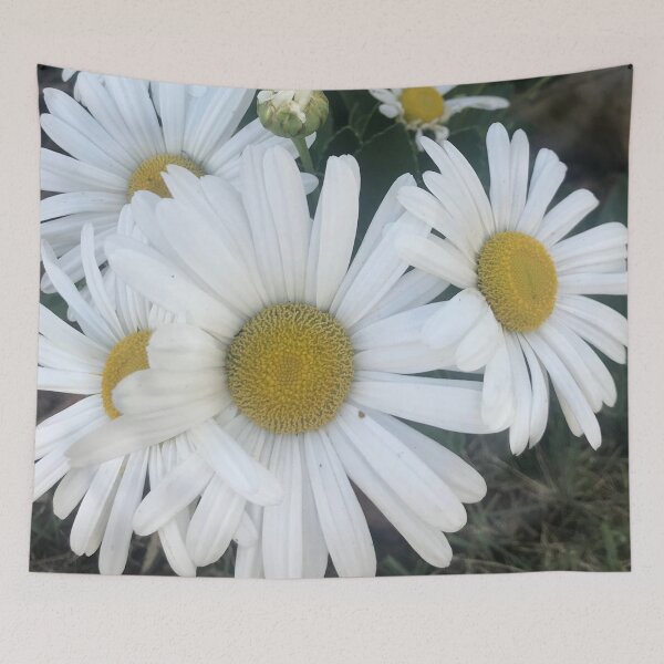 Item preview, oxeye daisy flower  designed and sold by Naomiblaine.