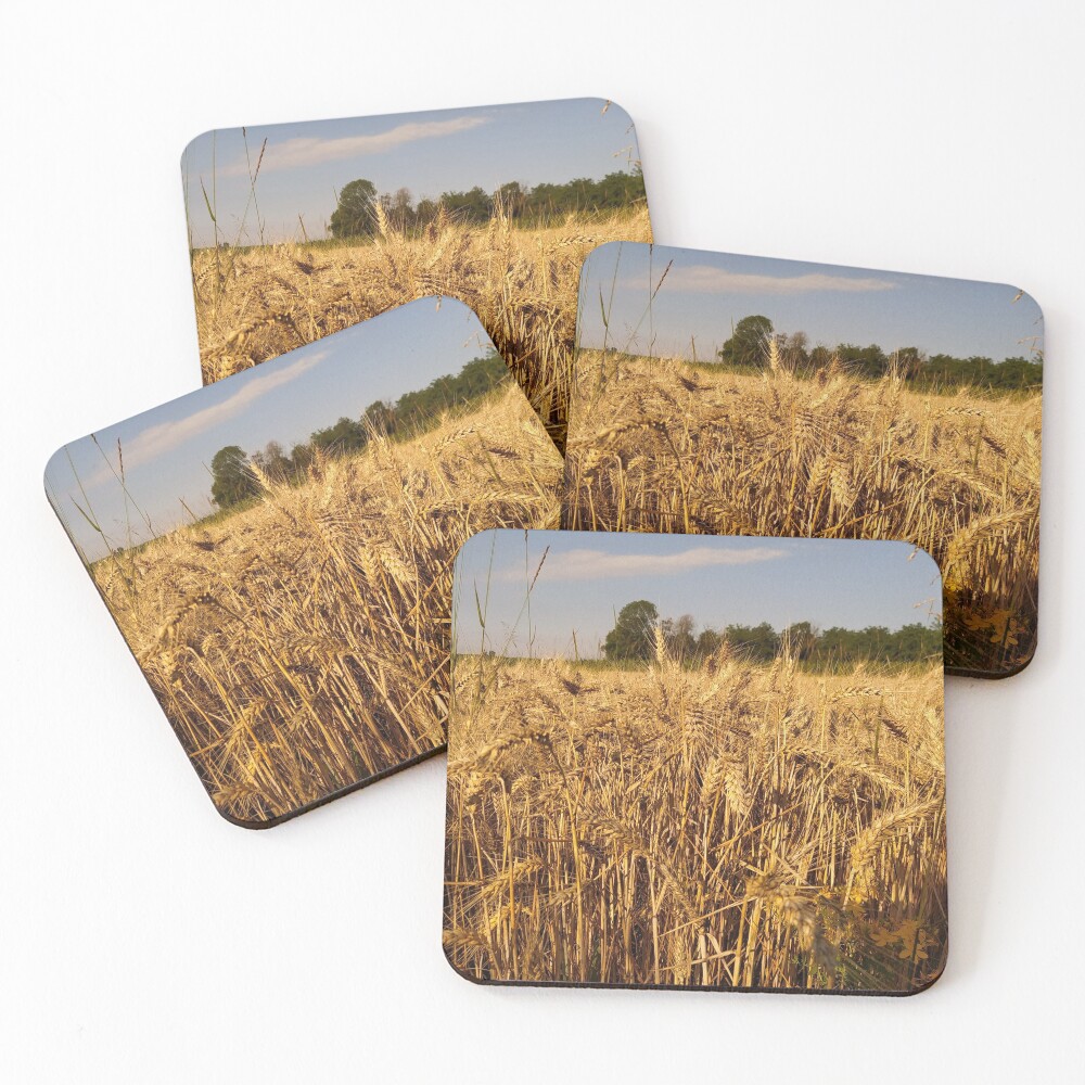Item preview, Coasters (Set of 4) designed and sold by ruby-boby.