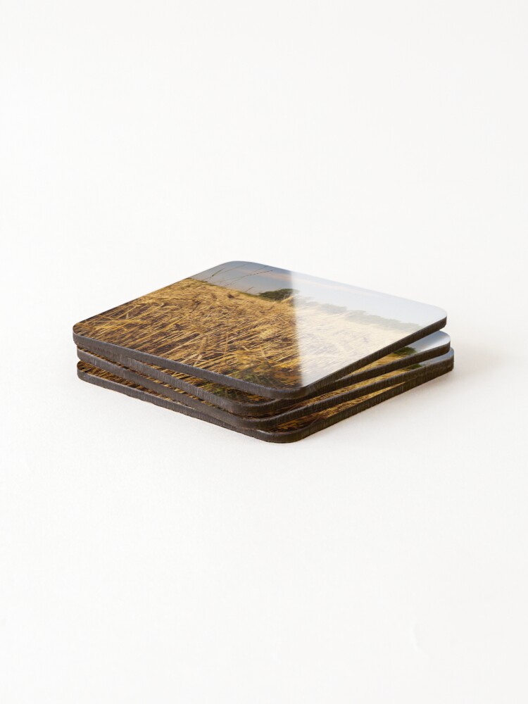 Thumbnail 4 of 5, Coasters (Set of 4), View designed and sold by ruby-boby.