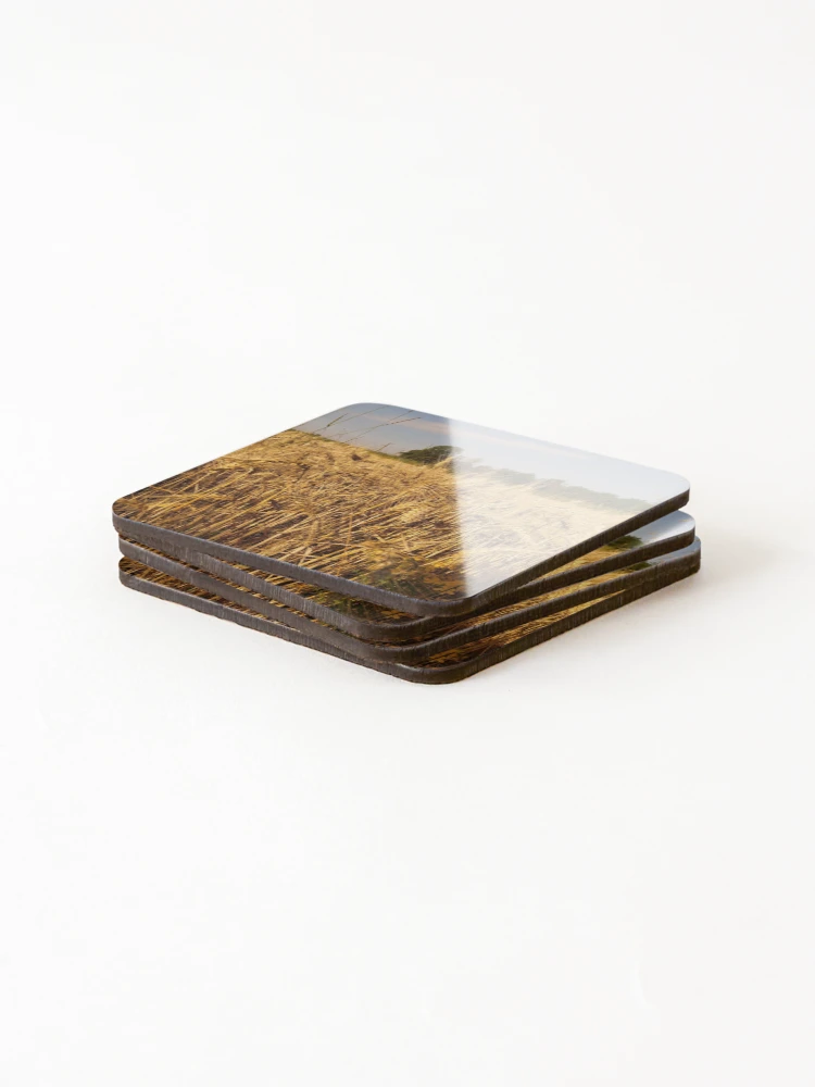 Thumbnail 4 of 5, Coasters (Set of 4), View designed and sold by ruby-boby.