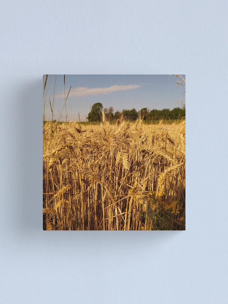 Thumbnail 1 of 3, Canvas Print, View designed and sold by ruby-boby.