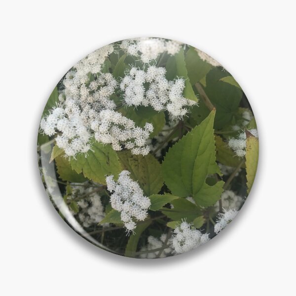 Item preview, White snakeroot flower designed and sold by Naomiblaine.