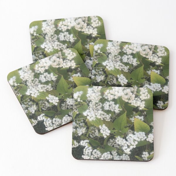 Item preview, White snakeroot flower designed and sold by Naomiblaine.