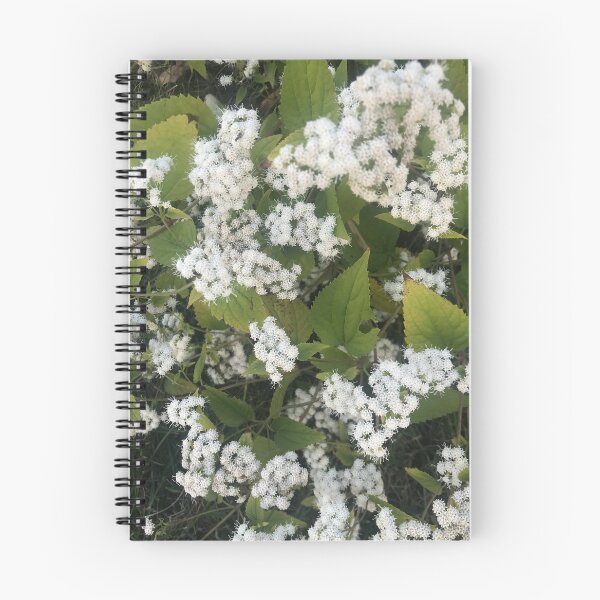 Item preview, White snakeroot flower designed and sold by Naomiblaine.
