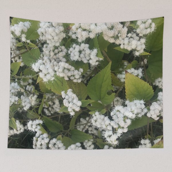 Item preview, White snakeroot flower designed and sold by Naomiblaine.