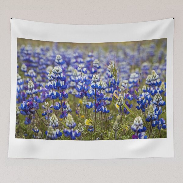 Item preview, Lupins designed and sold by williamsrdan.