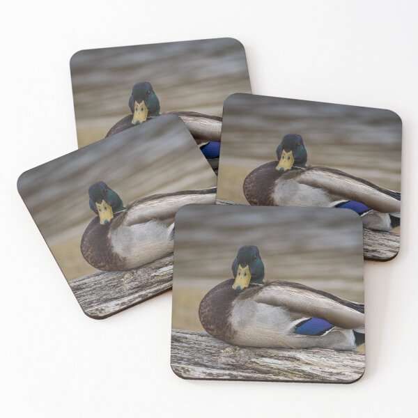 Item preview, Duck on a Log designed and sold by williamsrdan.