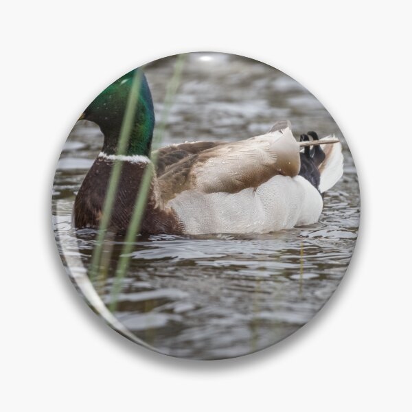 Item preview, Duck in water designed and sold by williamsrdan.