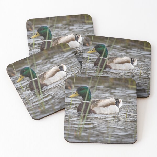 Item preview, Duck in water designed and sold by williamsrdan.