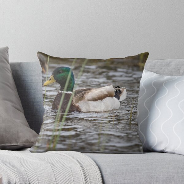 Item preview, Duck in water designed and sold by williamsrdan.