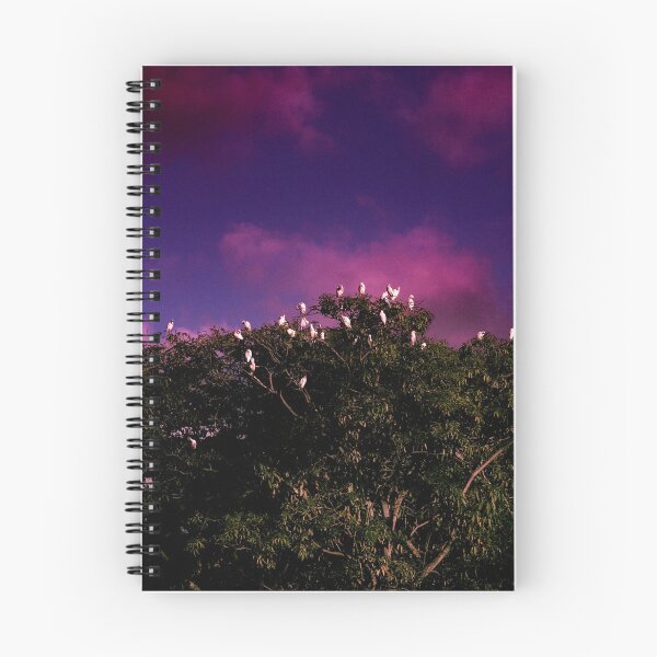 Item preview, The purple and the birds designed and sold by photocachapa.