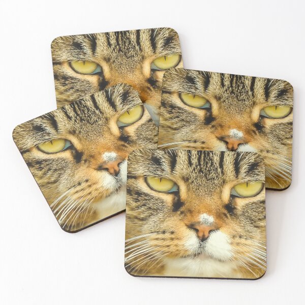 Item preview, Serious Cat Closeup designed and sold by KathyGail.