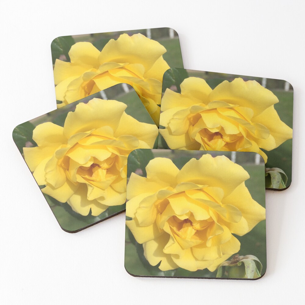 Item preview, Coasters (Set of 4) designed and sold by RitazMedia.