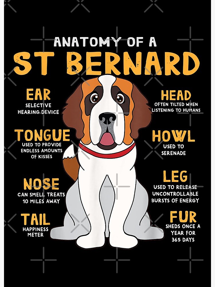 Anatomy Of A Saint Bernard Gifts For Dog Mom Dad Anatomy Of A Saint Bernard Gifts For Dog Mom Dad