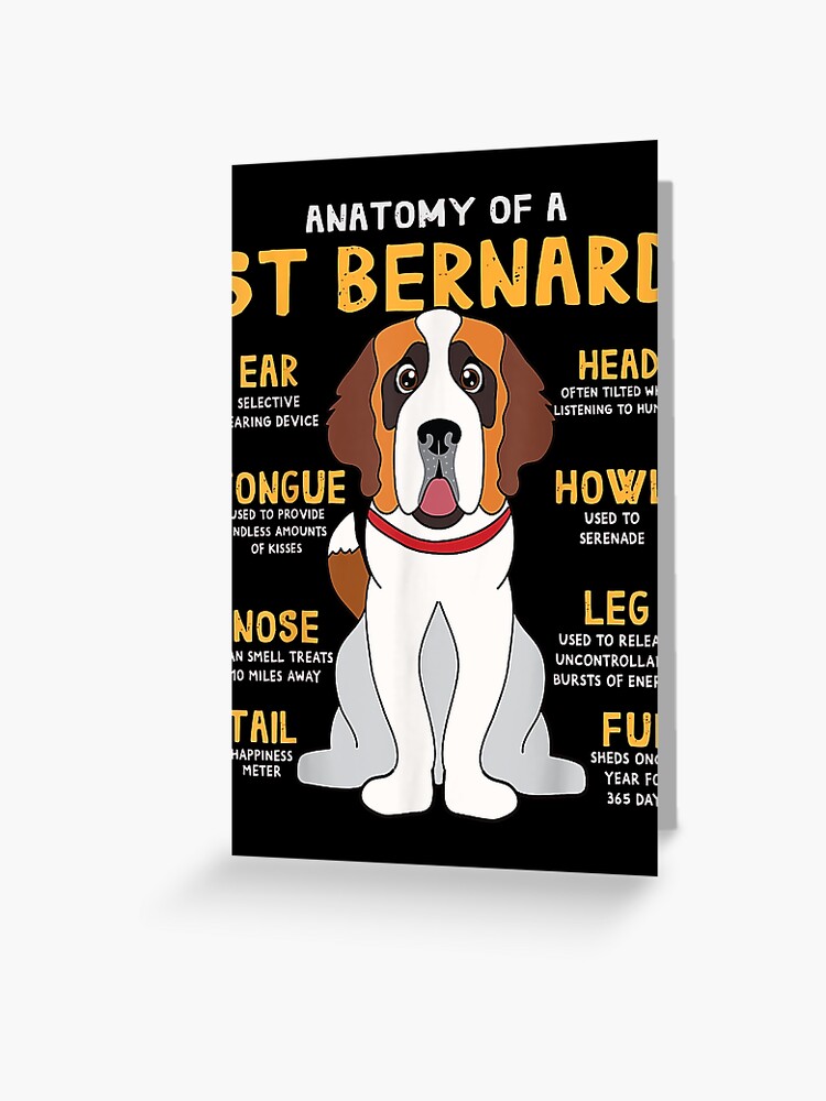 Anatomy Of A Saint Bernard Gifts For Dog Mom Dad Anatomy Of A Saint Bernard Gifts For Dog Mom Dad