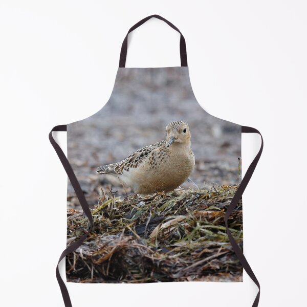 Item preview, Buff-Breasted Sandpiper at the Beach designed and sold by walkswithnature.
