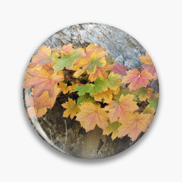 Item preview, October leaves  designed and sold by Zarabeaver.