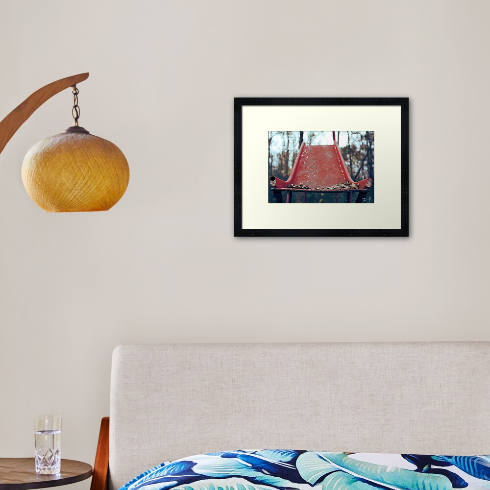 Rusty Slide Framed Art Print