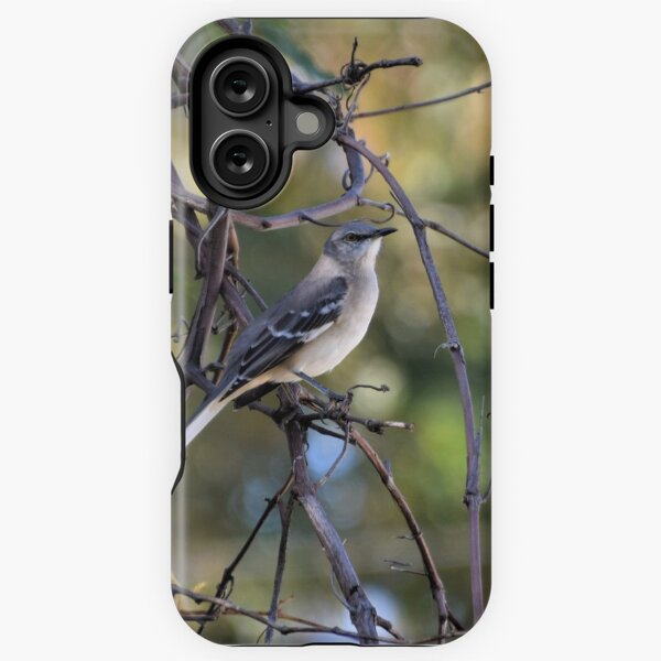 Item preview, Sweet Songbird designed and sold by DonnaM.