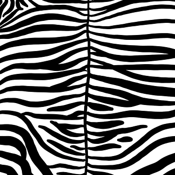 Artwork thumbnail, Zebra pattern by colorsofcherry