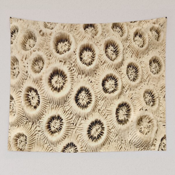 Item preview, Coral craters designed and sold by ralphsamo.