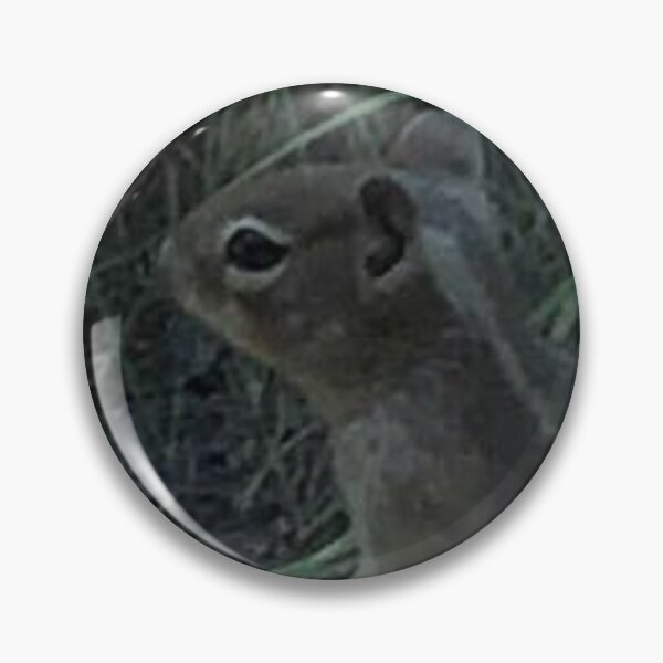 Item preview, Antelope Squirrel designed and sold by TorieWear.