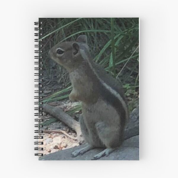 Item preview, Antelope Squirrel designed and sold by TorieWear.