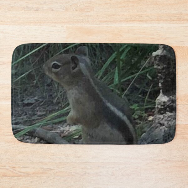 Item preview, Antelope Squirrel designed and sold by TorieWear.