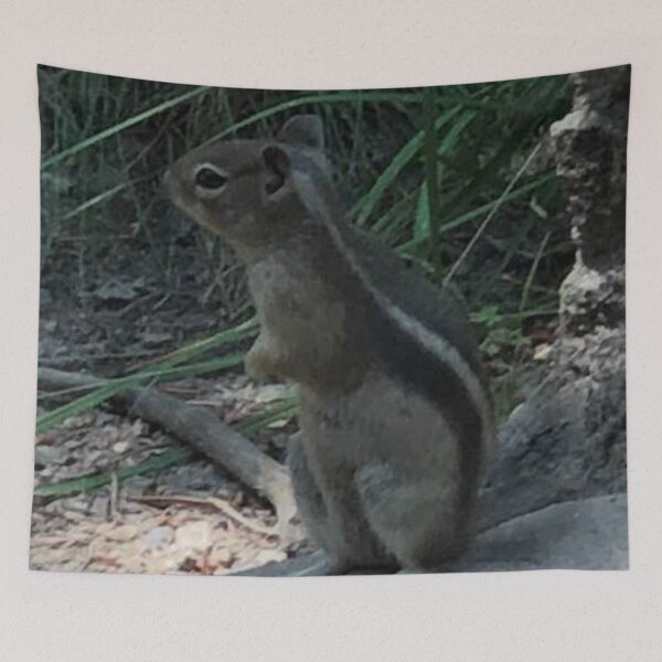 Item preview, Antelope Squirrel designed and sold by TorieWear.