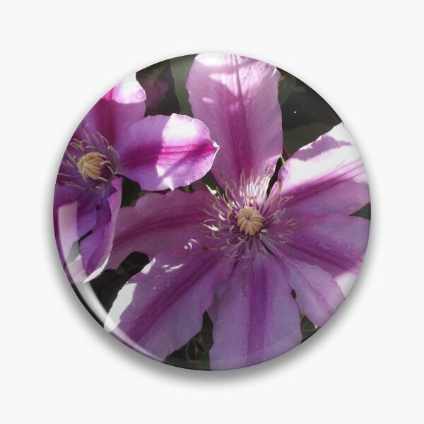 Item preview, Pink clematis designed and sold by greentiger1.