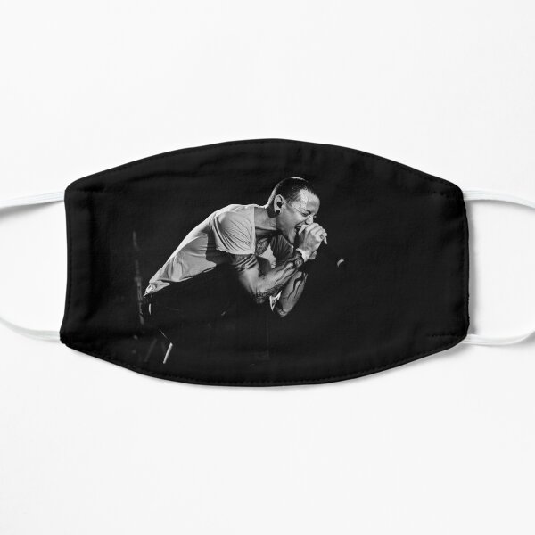stage park divide Mask