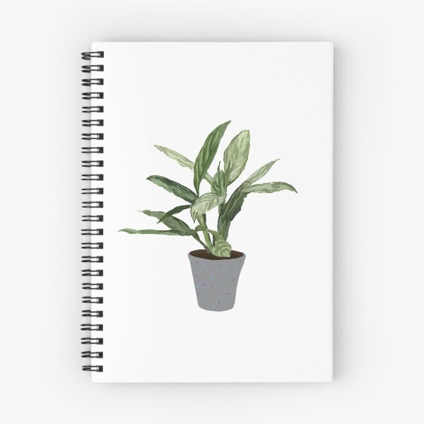 Aperçu de l'œuvre Plante mignonne créée et vendue par mcdouemm.