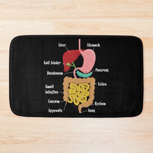 Item preview, Biology Teacher Anatomical Chart Digestive System print designed and sold by jakehughes2015.