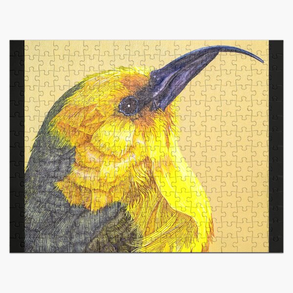 Critically Endangered Hawaiian Akiapola’au Jigsaw Puzzle